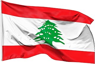 علم لبنان مقاوم للطقس وبفتحات نحاسية للتعليق على سارية العلم من بوليستر 100% من فينو فلاجز، مقاس 90 سم × 1.50 م