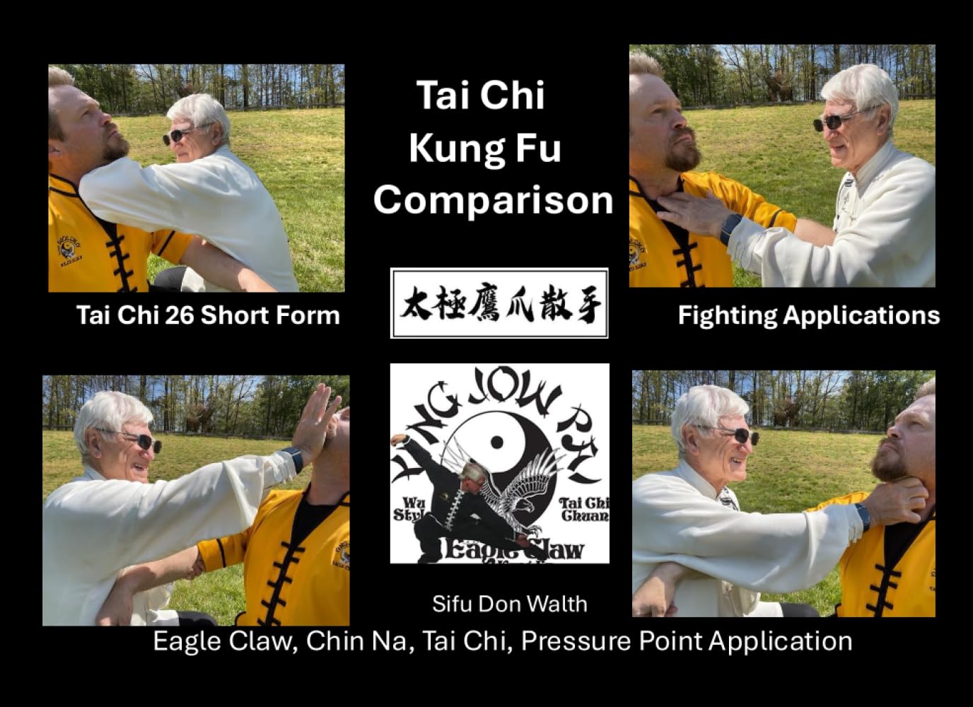 Tai Chi Kung Fu Comparison: Eagle Claw, Chin Na, Tai Chi, Pressure Point application
