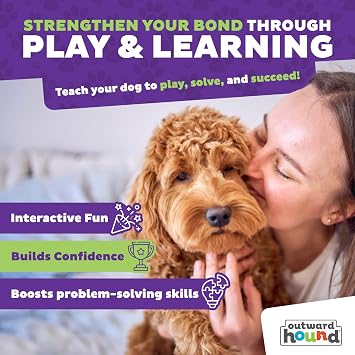 Nina Ottosson Interactive Dog Toys - Level 2 Intermediate Dog Puzzle Toys