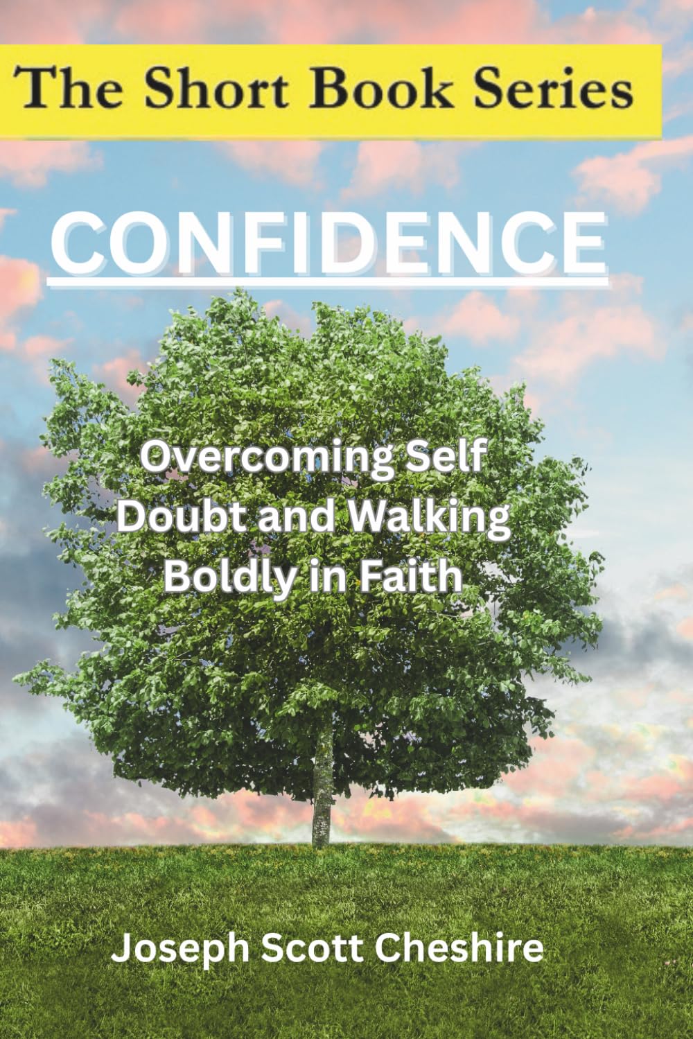 The Short Book Series: Confidence: Overcoming Self Doubt and Walking Boldly in Faith