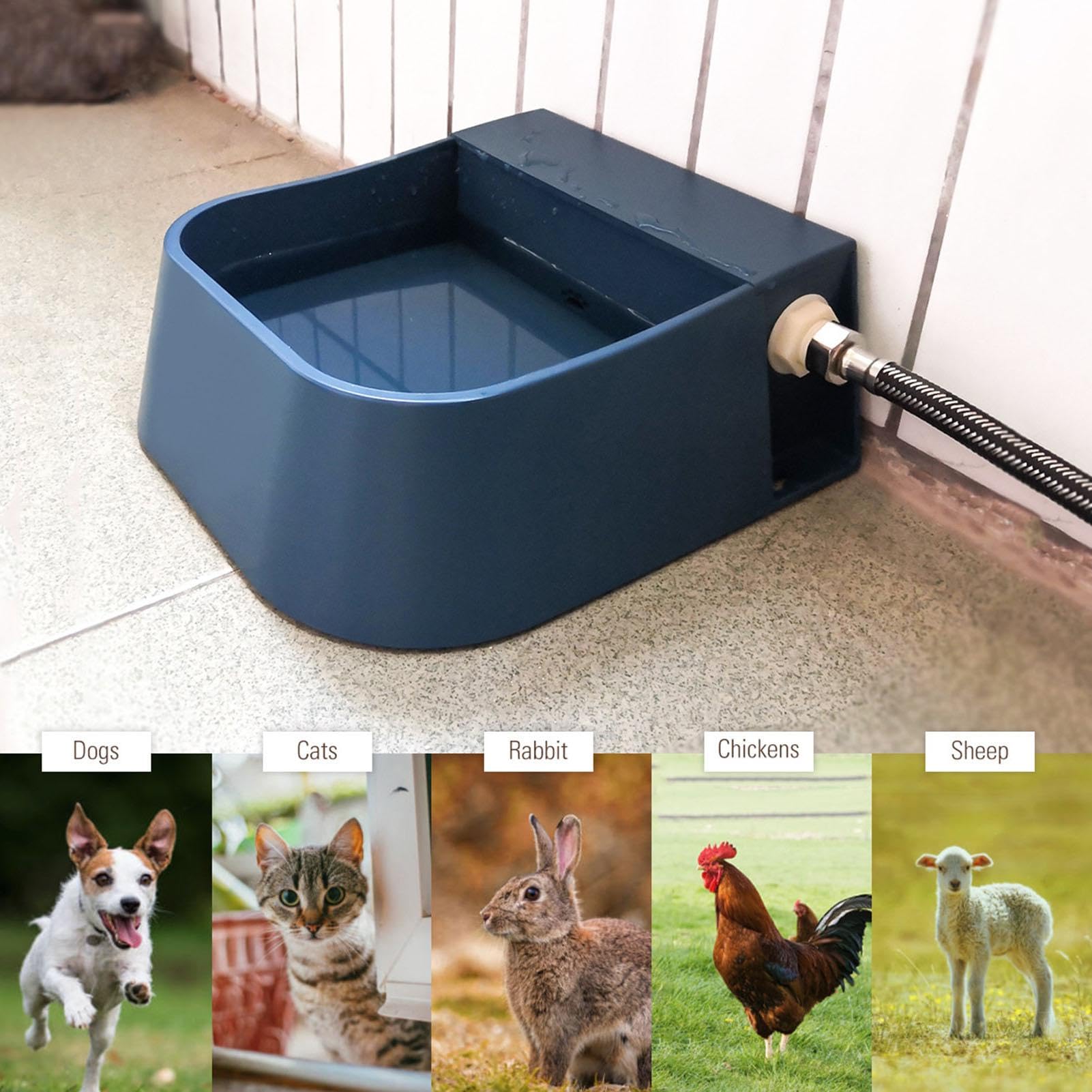 Distributeur Automatique d'eau pour Chien Antidérapant Multifonction Grande