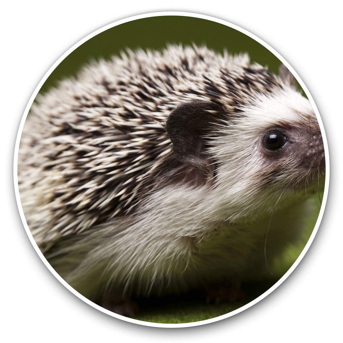 2 x Heart Stickers 10 cm - Hedgehog Garden Wildlife British Fun Decals for Laptops,Tablets,Luggage,Scrap Booking,Fridges #8246