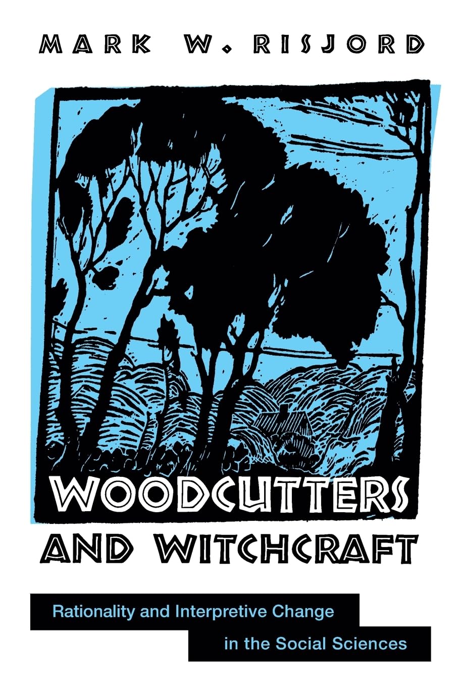 Woodcutters and Witchcraft: Rationality and Interpretive Change in the Social Sciences (SUNY series in the Philosophy of the Social Sciences)