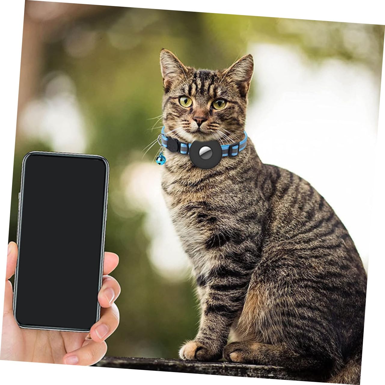 Kisangel 5pièces Collier pour Chat Réfléchissant avec Cloche Et Support Collier Ajustable pour Animaux De Compagnie pour Éviter Les Pertes pour Occasions Spéciales
