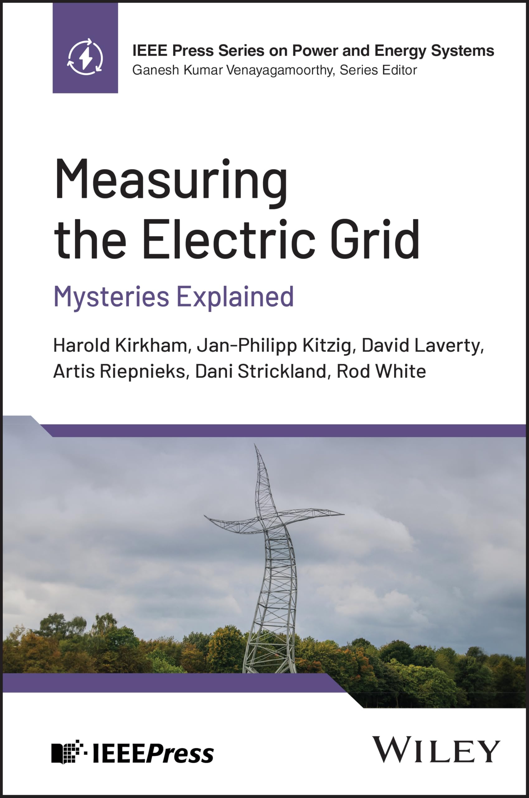 Measuring the Electric Grid: Mysteries Explained (IEEE Press Power and Energy Systems)