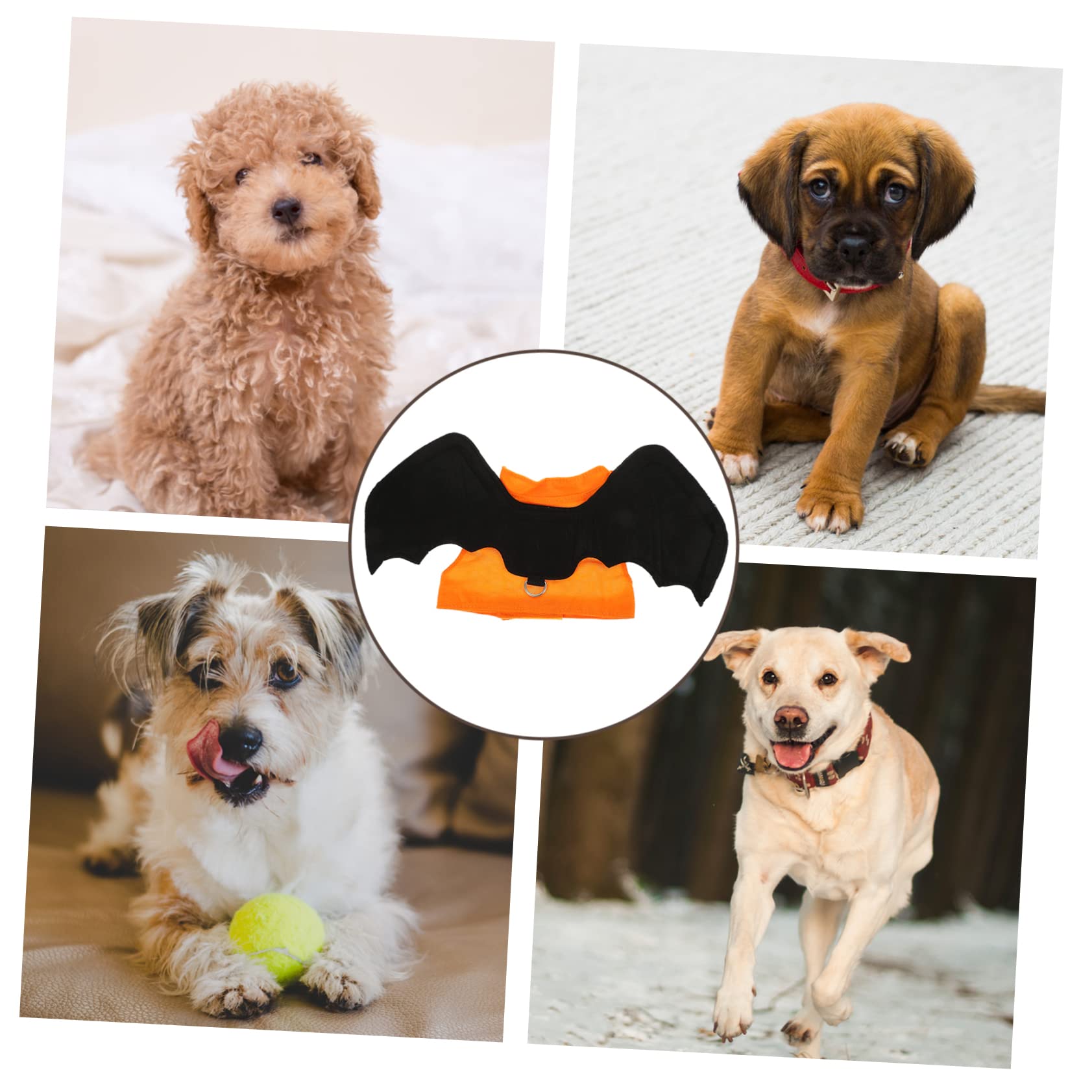 INOOMP 3piezas Disfraz De Murciélago para Mascotas Traje De Halloween para Perros y Gatos Ropa De Cosplay Alas Plegables para Fiestas y Celebraciones