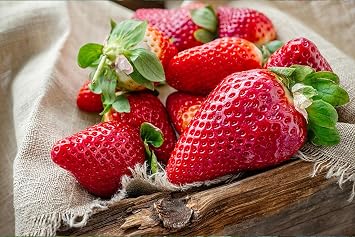 2000+ Red Climbing Strawberry Seeds Hydroponic Sweet Strawberry Seeds for Planting Heirloom Non-GMO Fruit Seeds