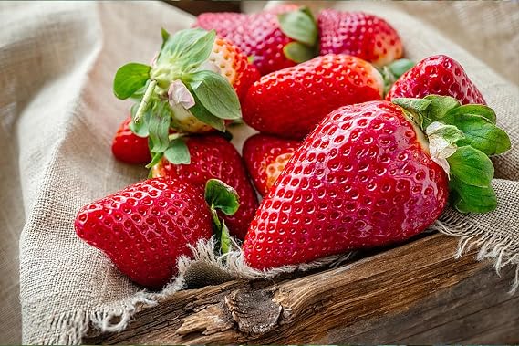 2000+ Red Climbing Strawberry Seeds Hydroponic Sweet Strawberry Seeds for Planting Heirloom Non-GMO Fruit Seeds