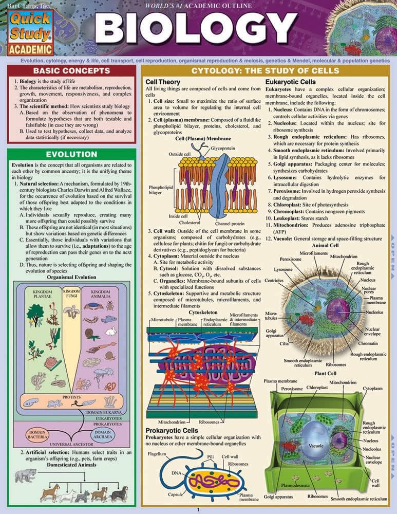 BIOLOGY Quick Study ACADEMIC 生物学 Biology: a QuickStudy Laminated Reference Guide (Quick Study