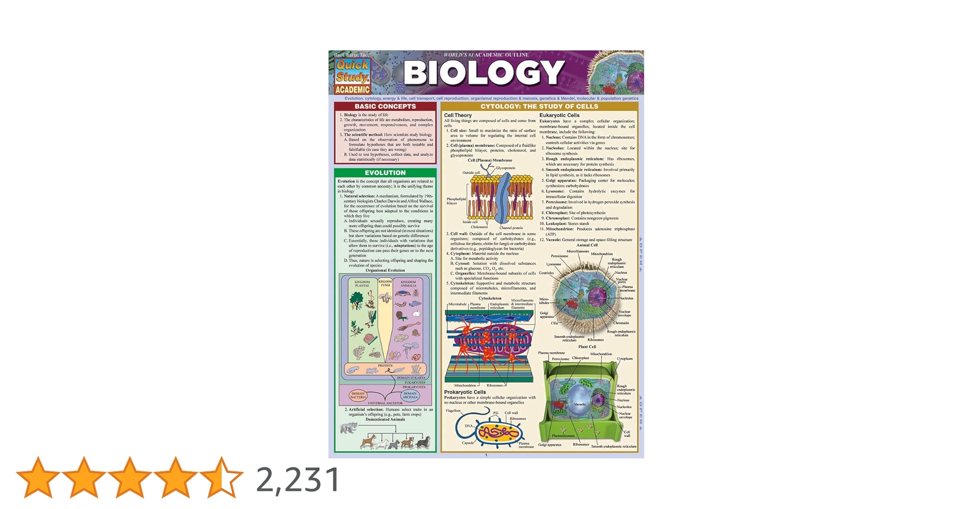 BIOLOGY Quick Study ACADEMIC 生物学 Biology: a QuickStudy Laminated Reference Guide (QuickStudy