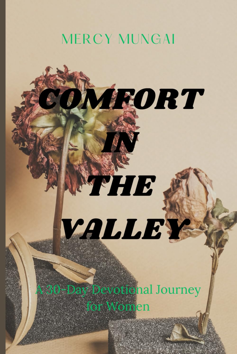 COMFORT IN THE VALLEY: A 30-day devotional journey through Psalm 23 for women walking through difficult seasons, offering gentle companionship, honest prayer, and restored hope.