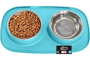 Neat and Tidy Feeder for Small Dogs