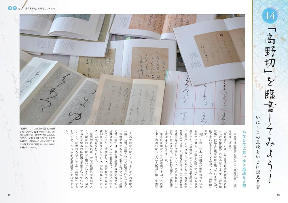 かな書道 上達レッスン 動画で身につく基本と応用 (コツがわかる