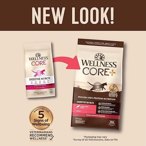 Miniatura 3 de Wellness CORE - Alimento seco para gatos con salmón y arroz, bolsa de 11 libras