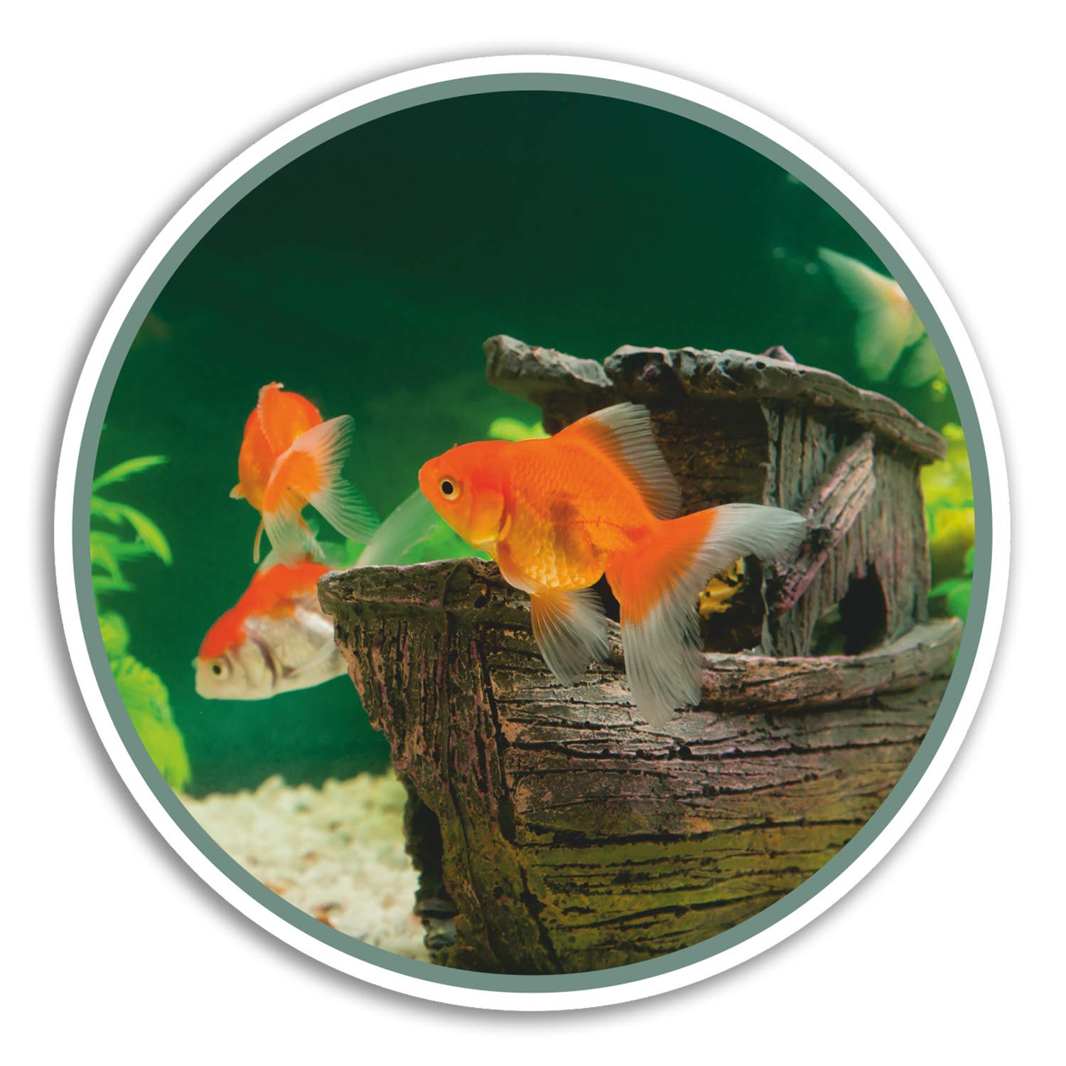 Destination Vinyl Ltd Multi 2 X 10Cm Gold Fish Vinyl Stickers - Aquarium Fun Sticker Laptop Luggage #8427 (10Cm Wide)