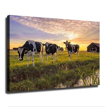Adorable Dairy Cows Farm Animal Poster Canvas Print Wall Art Beautiful Artwork Modern Decor Suitable for Home Bathroom Bedroom Office Gift 1624inch-No Framed