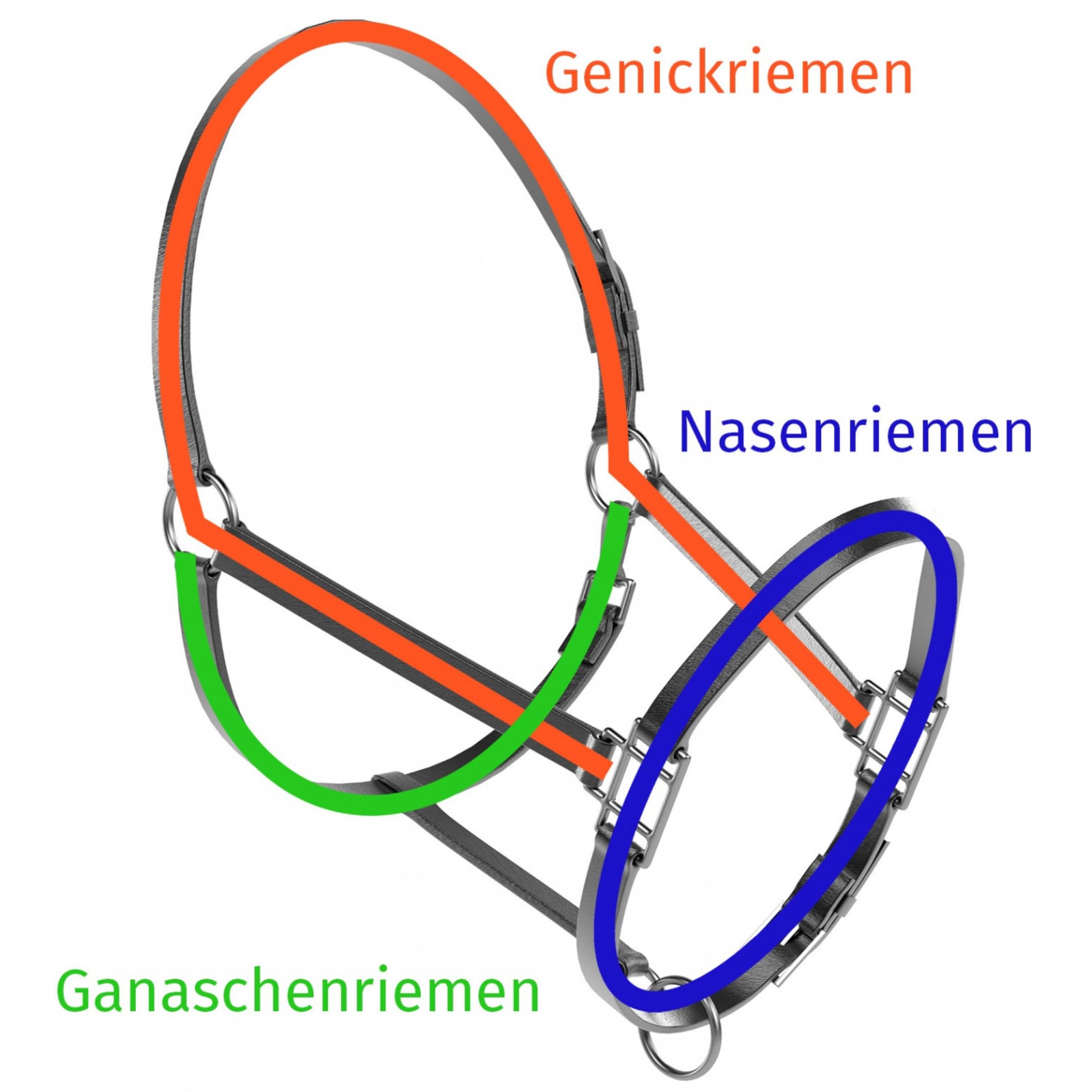 Marengos - Halfter Diamond aus Leder | Halfter für Pferde | Pferdehalfter mit farbig unterlegtem Nasenriemen & Genickstück | edles Lederhalfter | Pferde Zubehör in Schwarz | Warmblut