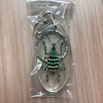 イモムシガチャ　昆虫アクリルキーホルダー Amazon.co.jp: ホウセキゾウムシ 昆虫アクリルキーホルダー