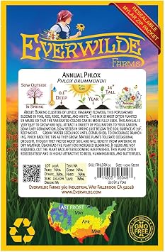 Everwilde Farms - 1000 Mixed Annual Phlox Native Wildflower Seeds - Gold Vault Jumbo Seed Packet