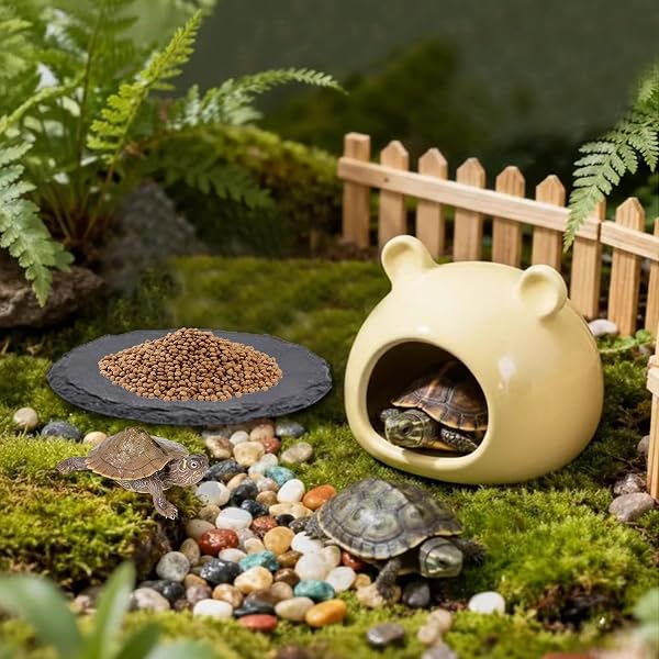 2 Stück Reptilien Sonnenplatz aus runder Schieferplatte, Schale für Baden, Ruhen & Füttern, Natürliches Steinzubehör für Schildkröten, Echsen, Geckos, Schlangen, Frösche & Molche, 14,5 x 14,5 cm - 4