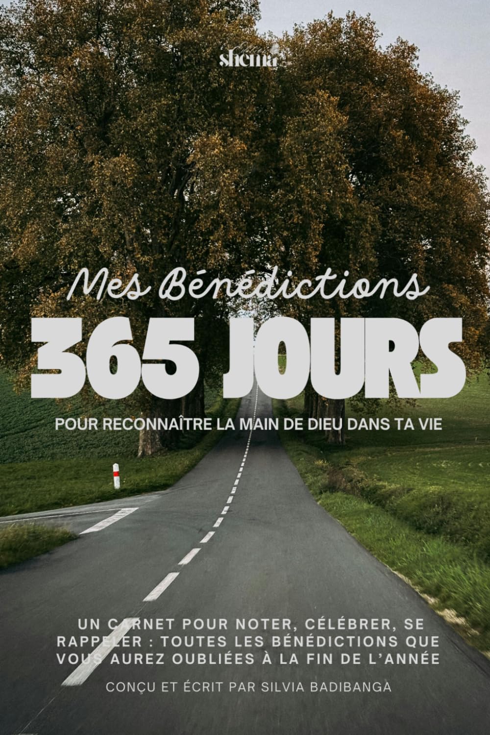 Mes Bénédictions: 365 jours pour reconnaître la main de Dieu dans ta vie : Journal chrétien de gratitude et d’intentions mensuelles pour nourrir la foi