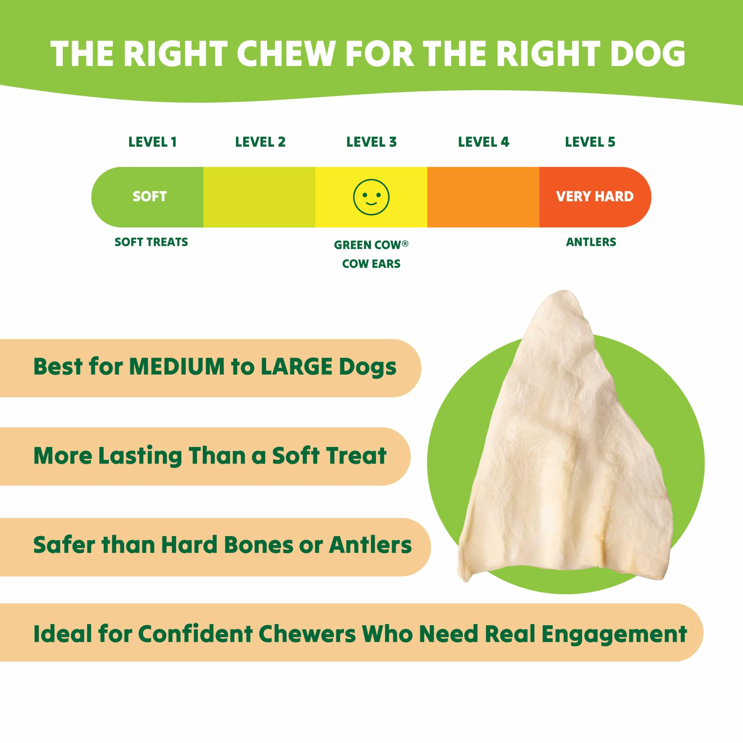 GreenCow Kauspielzeug für Hunde, 100 % natürlich, echte Kuhohren, über 12,7 cm Freilandhaltung, ohne Zusatzstoffe, Chemikalien oder Hormone, 50 Stück