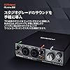 Roland ROLAND Rubix22 USB AUDIO INTERFACE audio interface