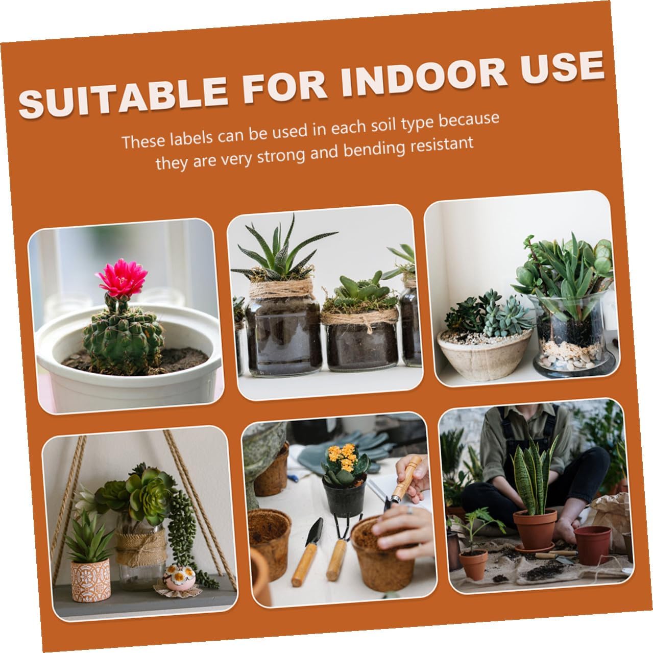 600pcs Waterproof Plant Labels Garden Markers with Stakes Small Colorful Plastic Plant Tags for Outdoor Gardening 10x1.8cm