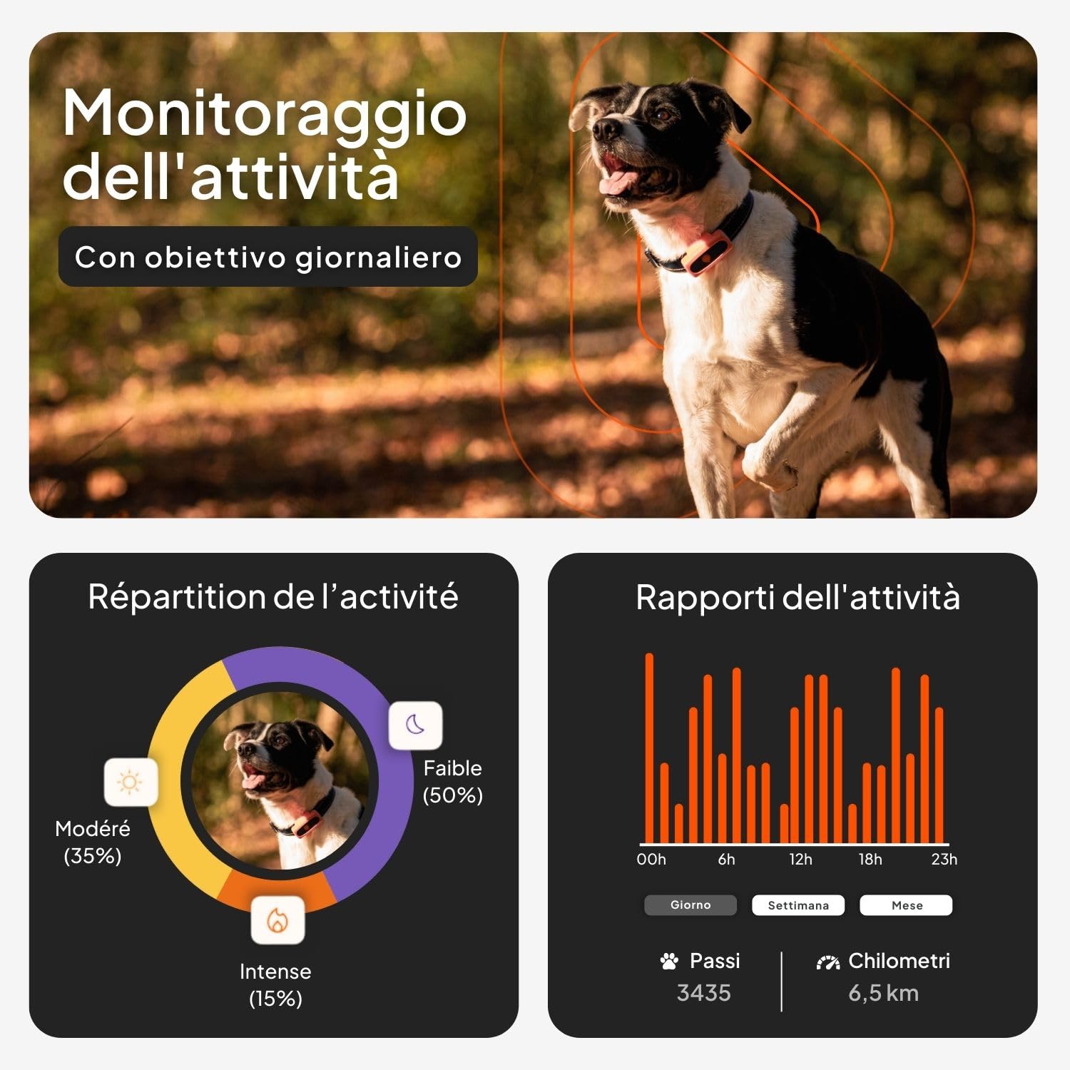 Weenect Dog XS - Localizzatore GPS per cani | Mini localizzatore GPS in tempo reale | Impermeabile | Il più piccolo sul mercato | Funziona con abbonamento | Garanzia a vita