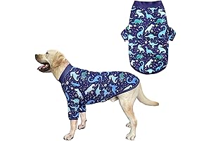 Pitbull Universe Dinosaur Dog Shirt