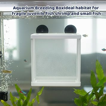4-Piece Set with Two Spare Nets, Baby Fish Separator for Tank, Aquarium Breeder Box with Suction Cups, Isolation Unit for Aggressive Fish and Newborn Fry Protection