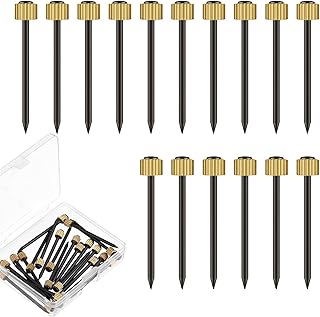 60pcs Picture Hanging Nails Pins Brass Head Wall Masonry Picture Hook Nails Pins with Plastic Storage Box for Hanging Photo Frame