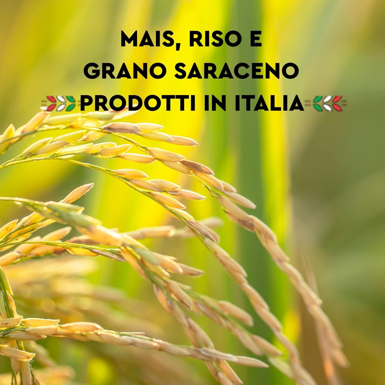 Armando, La penna senza glutine, Pasta sin gluten con multireals con maíz, arroz entero y quinua – Penne sin gluten 12 x 400 g + Polpa italiana Gourmet 400 g