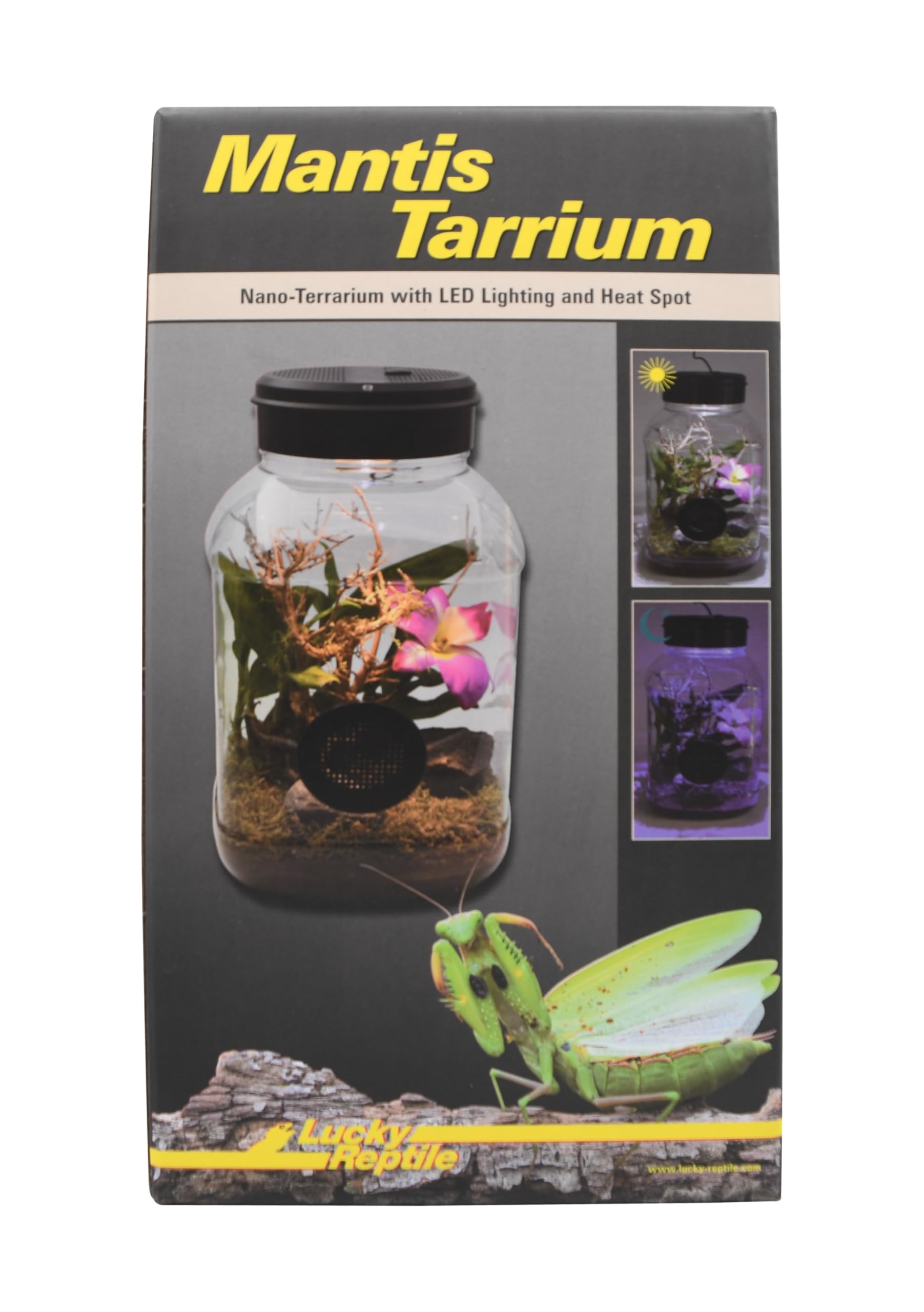 Lucky Reptile MantisTarrium