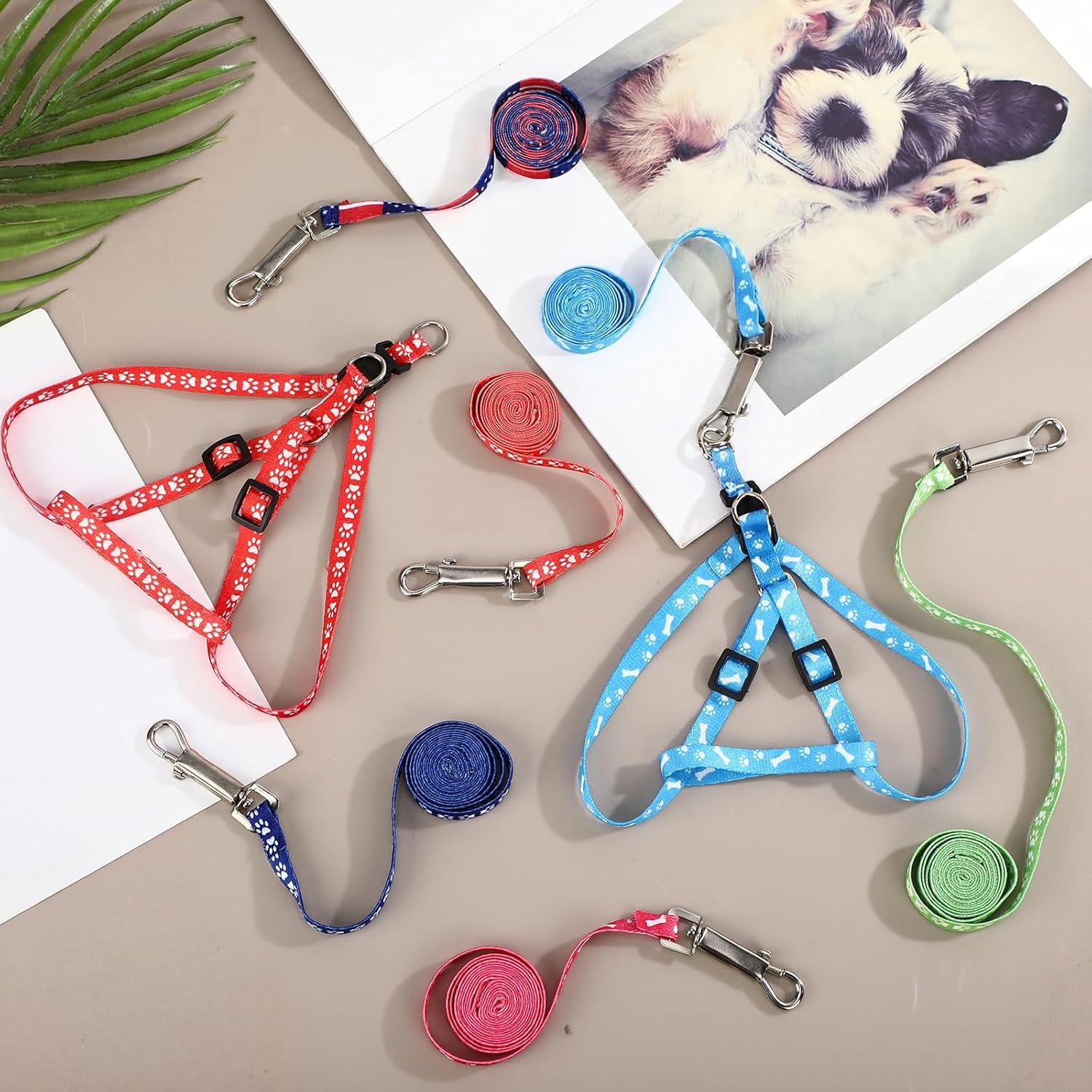 Hsei 50 Set Nylon Puppy Harness and Leash Bulk 4 ft Adjustable Dog Training Leash with Swivel Hook Patterned Puppy Traction Rope for Small Medium Dog Cats Play Camping Walking, 12 Assorted Colors