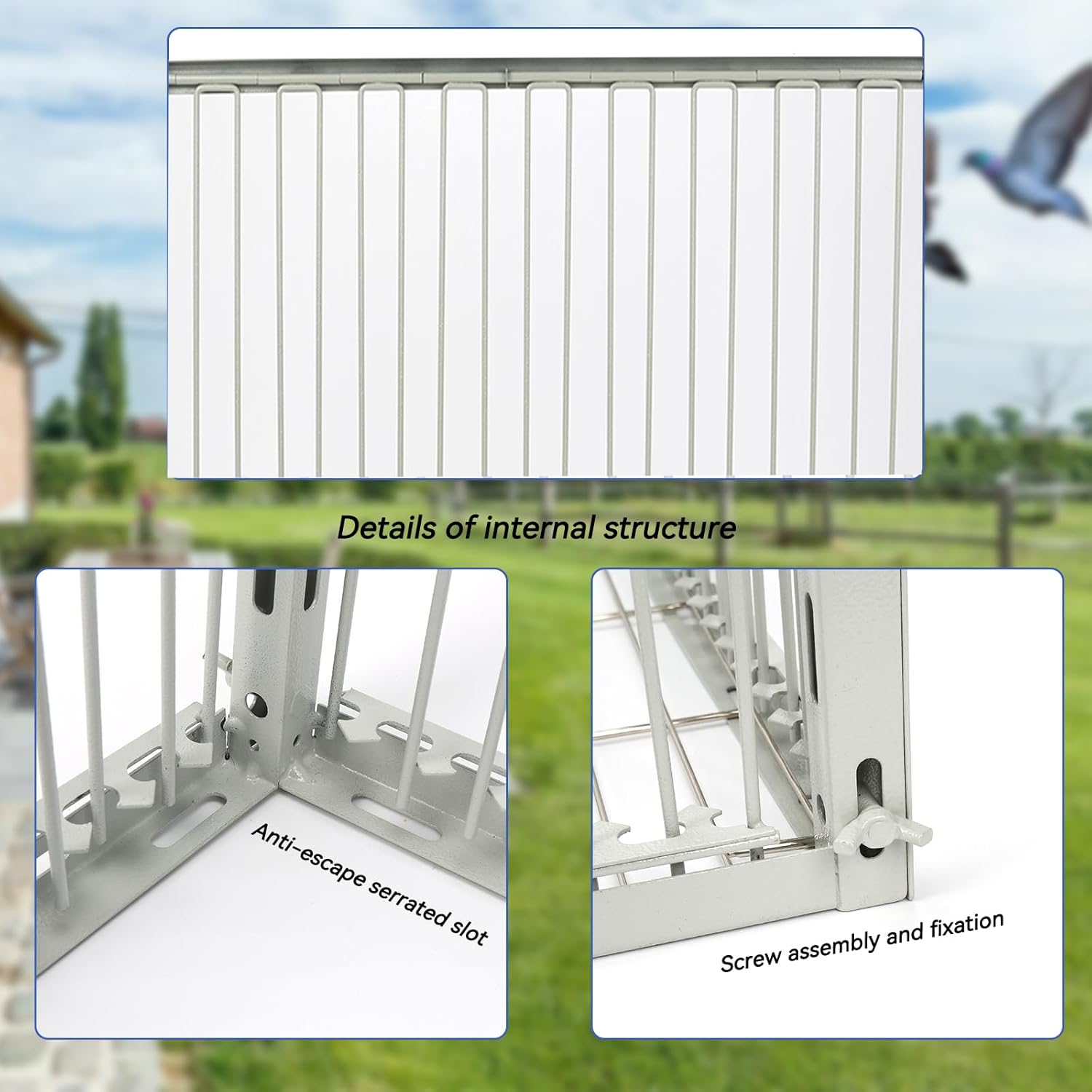 Heavy-Duty Pigeon Trap Cage with Escape-Proof Design – Auto Bird Traps for Large Birds | Iron Powder-Coated Bird Trap Cage for Multiple Pigeons – Rust-Resistant-S Size