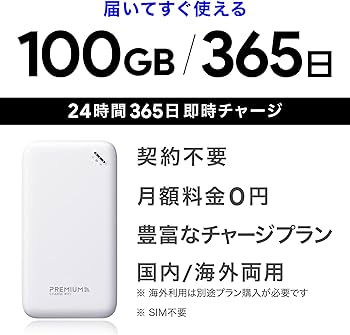 Amazon.co.jp: 国内メーカー直営 [U20] 日本100GB/365日付 ポケット