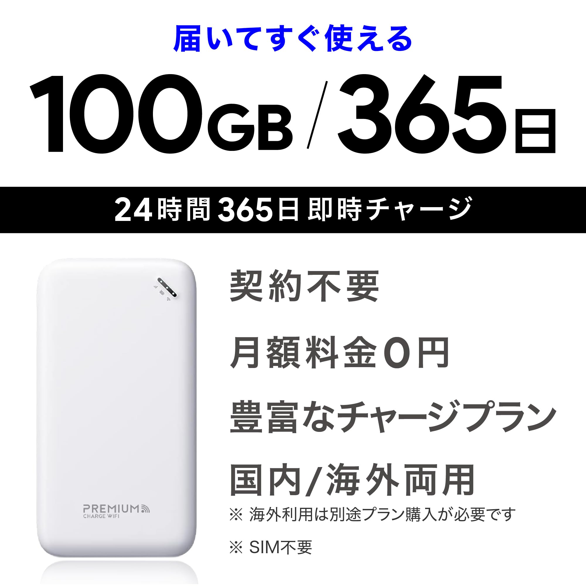 Amazon.co.jp: 国内メーカー直営 [U20] 日本100GB/365日付 ポケット