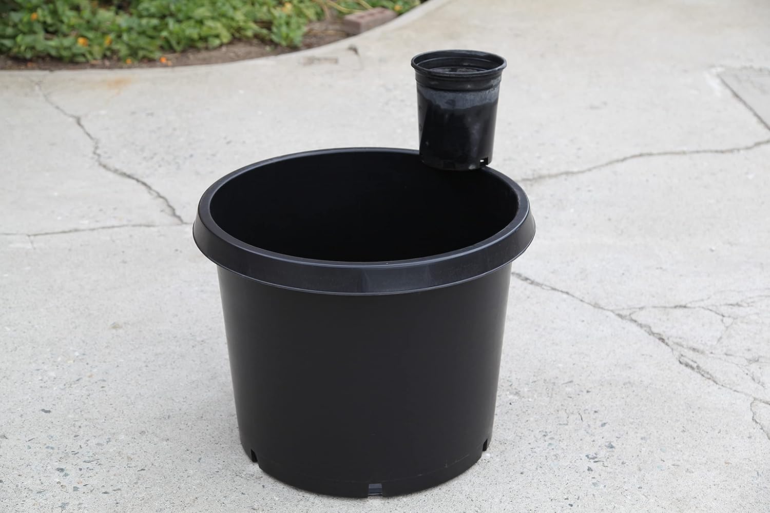 CBM Scaffold CBM 2-20 Gallon Premium Black Plastic Nursery Plant Container Garden Planter Pots, 22.5 inch TOP x 17.5 inch BOTTOM x17 inch HIGH (PT20GAL)