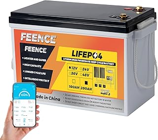 Mini batterie LiFePO4 12 V 200 Ah avec Bluetooth 200 A BMS, 15 000 cycles 2560 Wh, à cycle profond, parfaite pour camping-cars, systèmes solaires, marine, caravanes, applications hors réseau