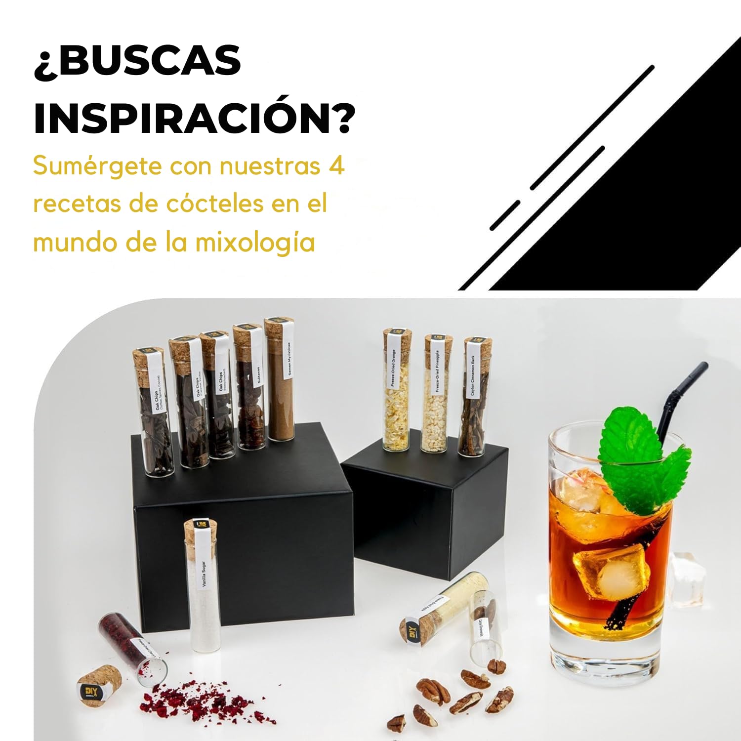 DIBYS Mini Kit Whisky para Regalar | 12 Especias para Cócteles | Con 4 Tarjetas de Recetas, Léxico y Elegante Caja | Set de Regalo para Hombres y Mujeres | Juego Hacer Whiskey Infusión en Casa