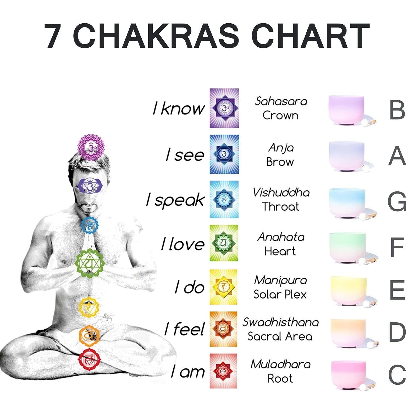 Amazon.co.jp: 432 Hz 8/10/12 インチ C/D/E/F/G/A/B ノート つや消し