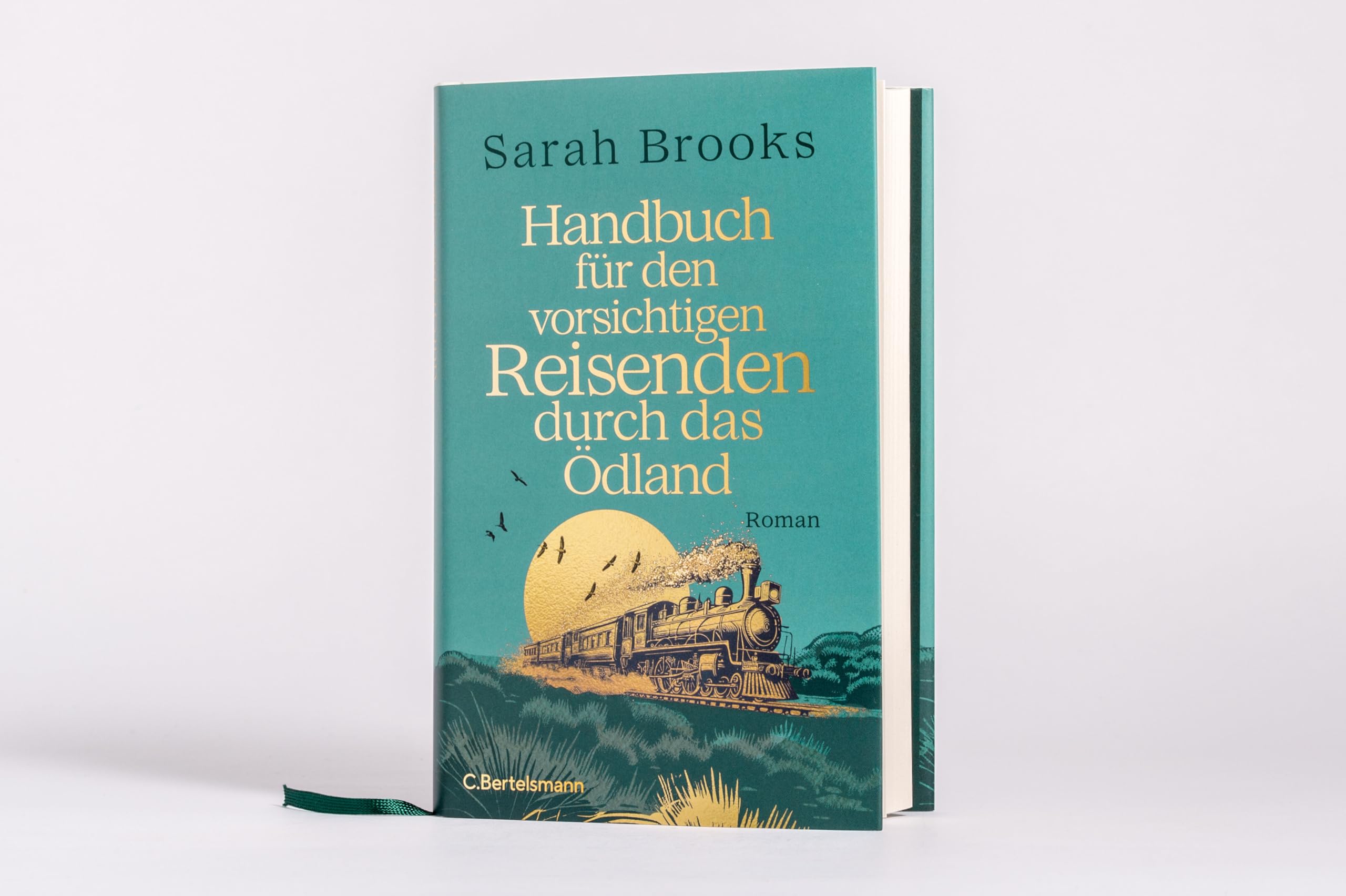 Handbuch für den vorsichtigen Reisenden durch das Ödland: Roman