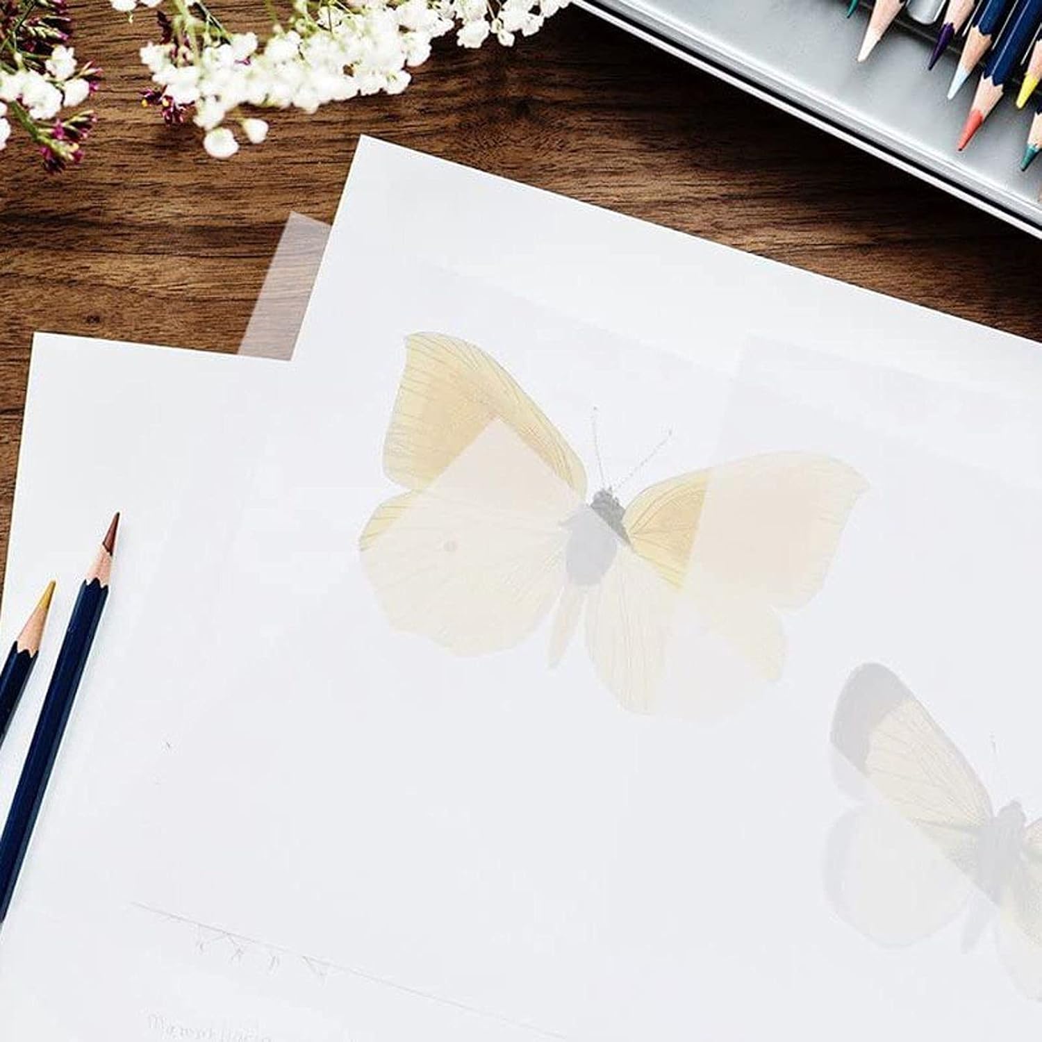 Translucent Vellum Paper, Printable for Invitations (8.5 x 11 in 100 Sheets) : Arts, Crafts & Sewing