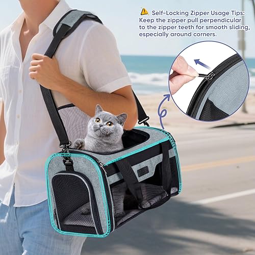 Miniatura 13 de BALEINE Transportador para gatos, cachorros y cachorros para mascotas pequeñas y medianas de hasta 15 libras, bolsa de viaje para perros de lados