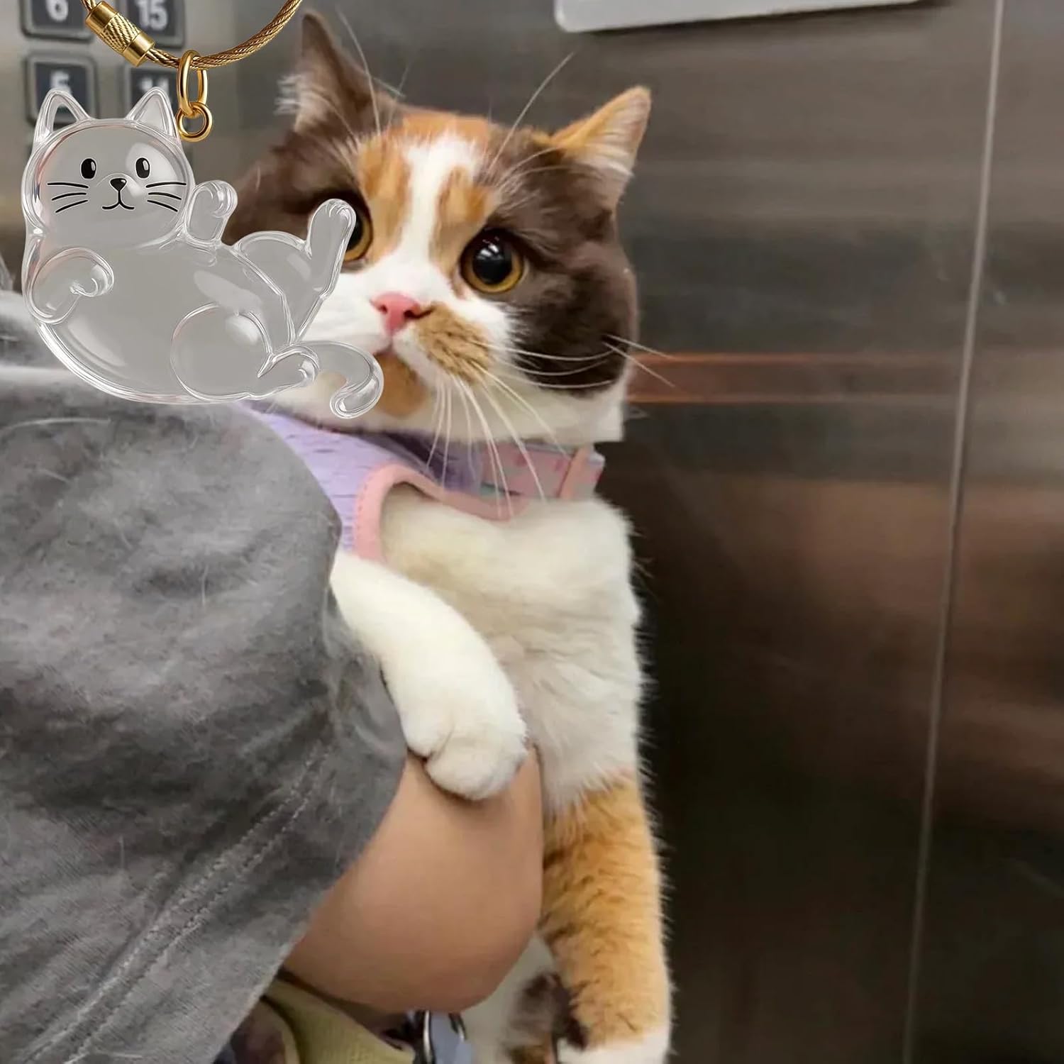 Clear Acrylic Cats Hair Collector with Cats Pendant Decoration Keychain Furs Container for Travel Friendly Shape Pet Memorial Box - Image 3