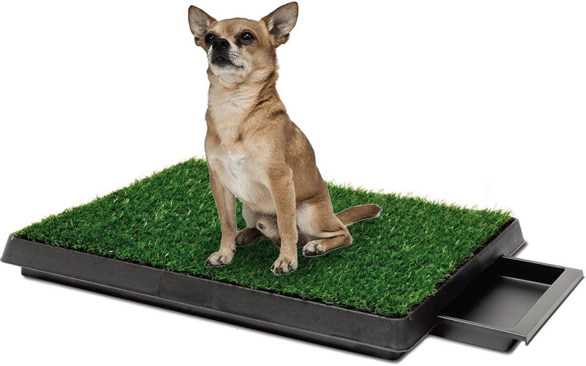Topiaukstore Pawsfiesta Indoor Pet Toilet Dog Grass Restroom Potty Training with Tray and Loo Pad
