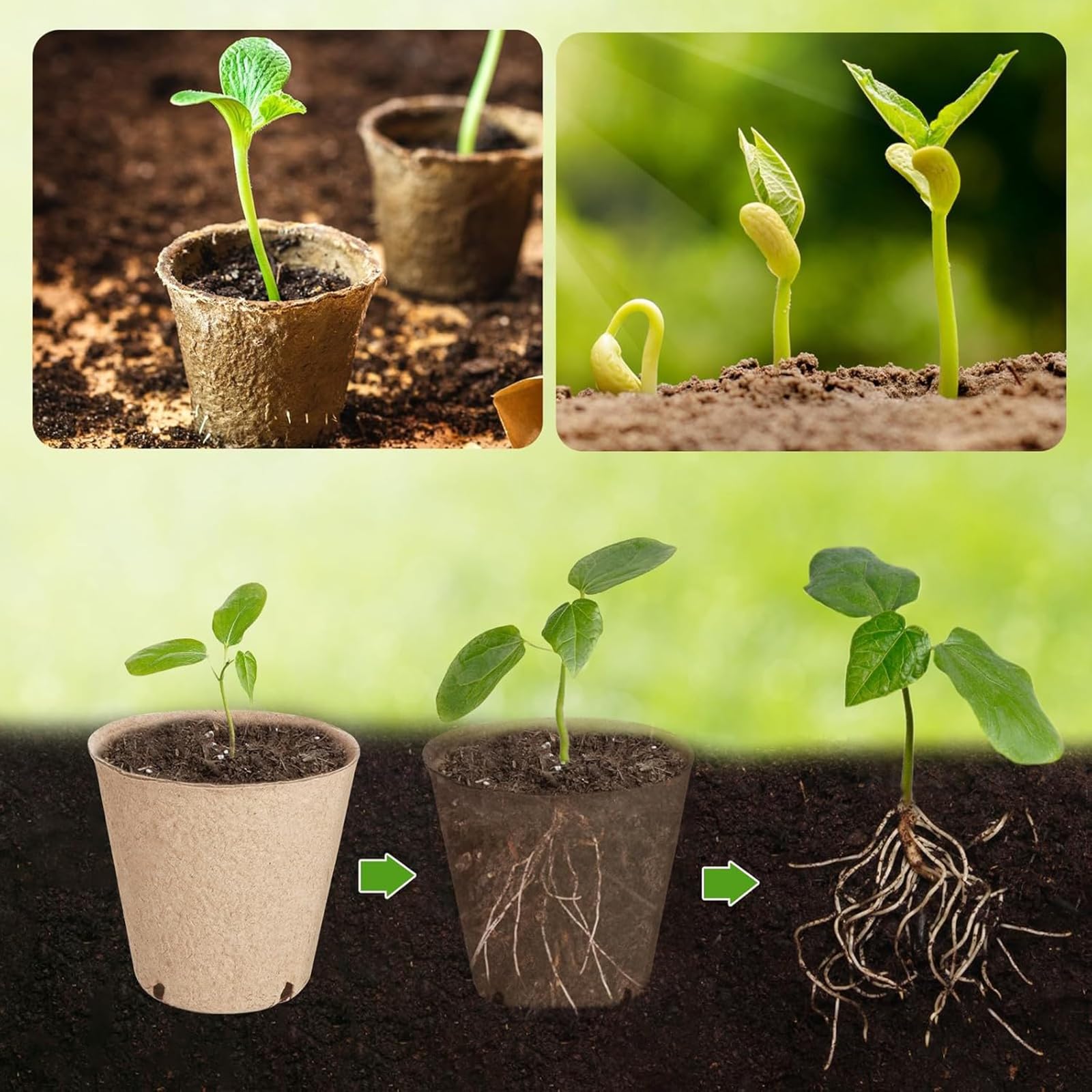 Lot de 100 bacs ronds pour plantes, gestion de l'eau