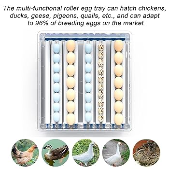 HKDQ 自動孵化器 360°転卵機能 Amazon.co.jp: Moongiantgo 全自動孵卵器 ふ卵器 専用ボトル付き