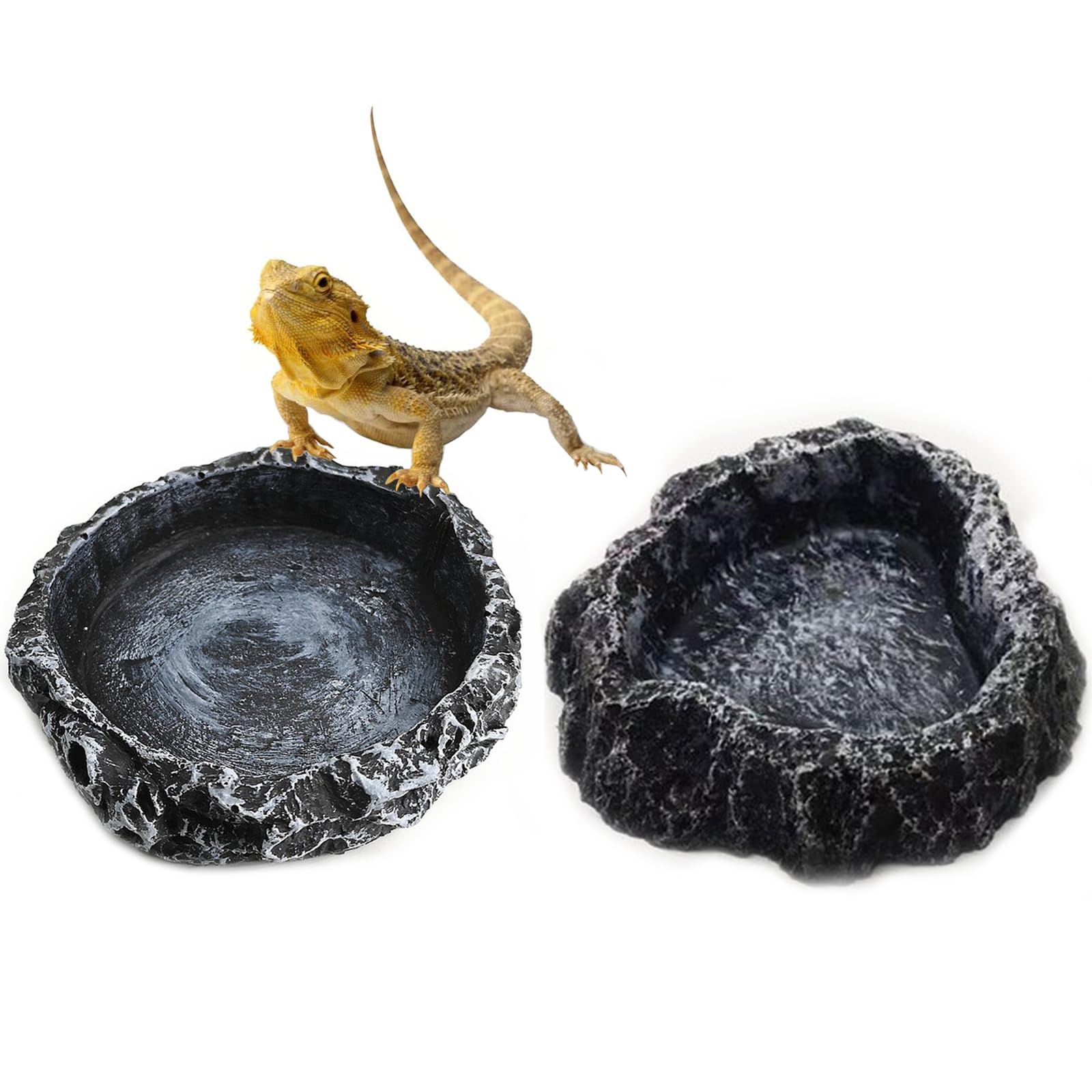 Amazon | 爬虫類 水入れ 餌入れ エサ皿 水飲み皿 自然の岩イメージ